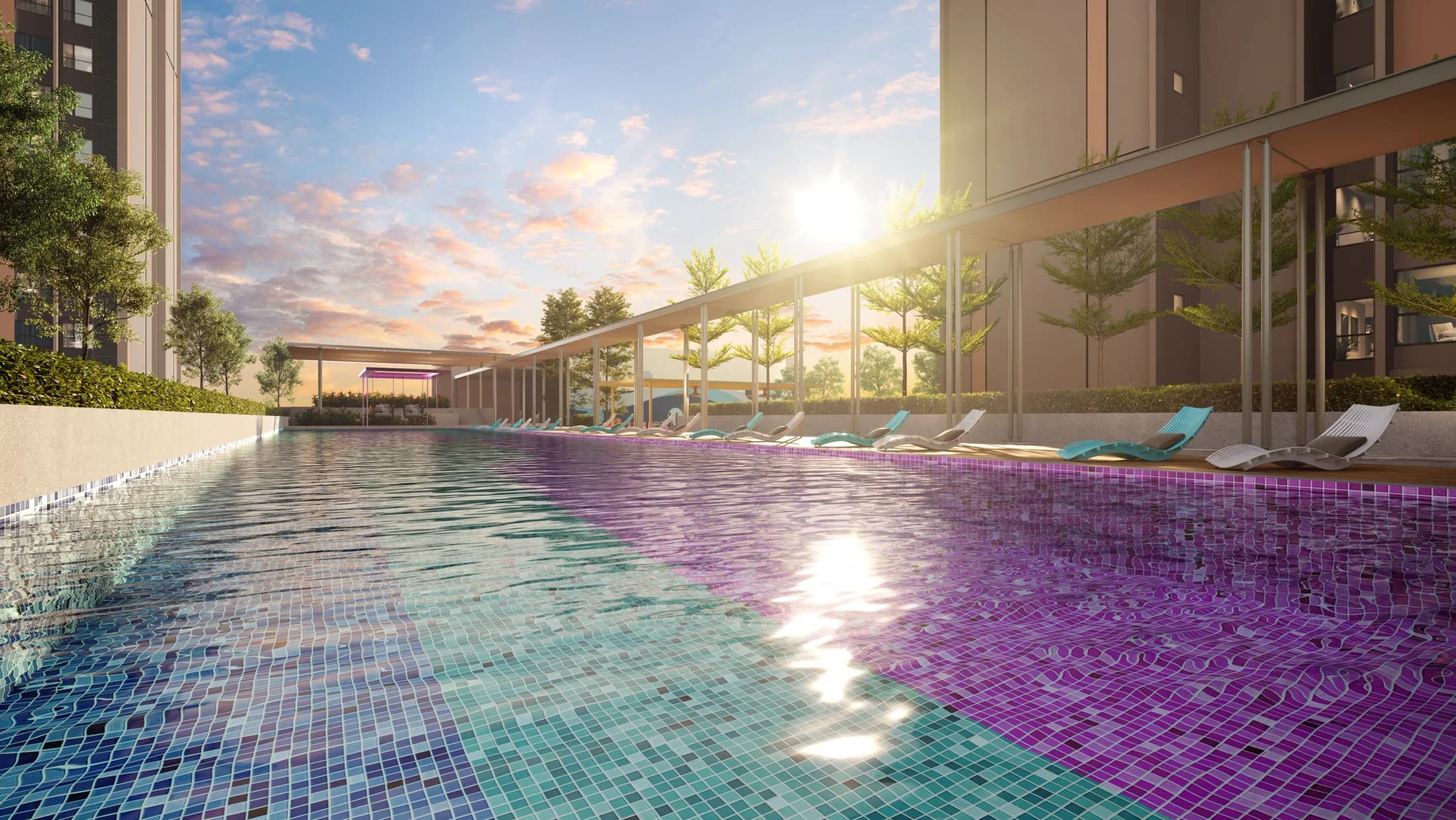 The Vividz swimming pool and pool deck